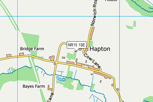 NR15 1SE map - OS VectorMap District (Ordnance Survey) NR15 1SE map - OS VectorMap District (Ordnance Survey)