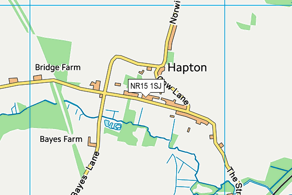 NR15 1SJ map - OS VectorMap District (Ordnance Survey) NR15 1SJ map - OS VectorMap District (Ordnance Survey)