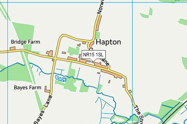 NR15 1SL map - OS VectorMap District (Ordnance Survey)