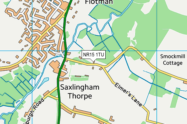 NR15 1TU map - OS VectorMap District (Ordnance Survey) NR15 1TU map - OS VectorMap District (Ordnance Survey)