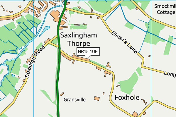 NR15 1UE map - OS VectorMap District (Ordnance Survey) NR15 1UE map - OS VectorMap District (Ordnance Survey)