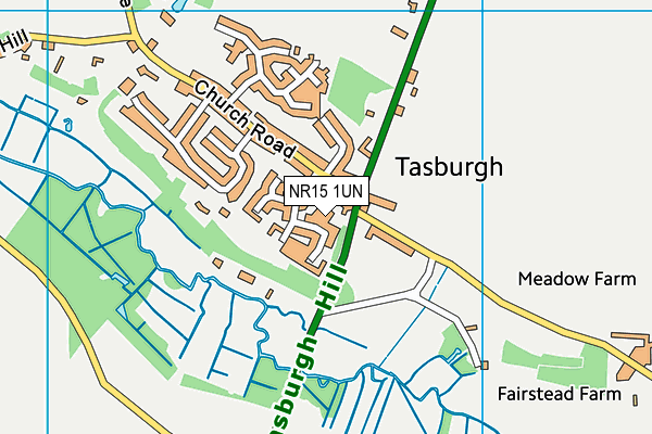 NR15 1UN map - OS VectorMap District (Ordnance Survey)