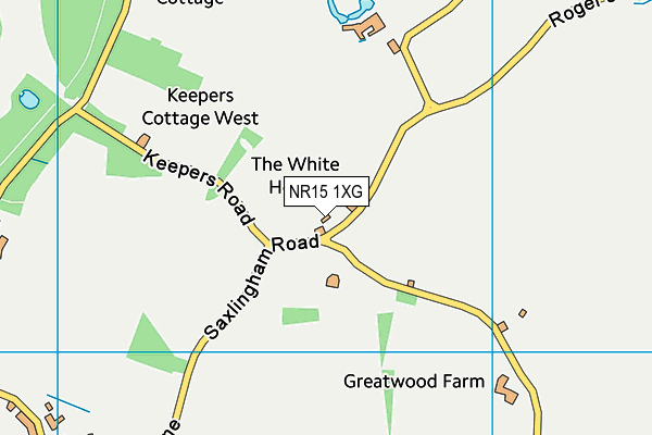 NR15 1XG map - OS VectorMap District (Ordnance Survey)