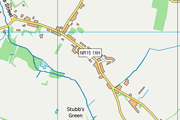 NR15 1XH map - OS VectorMap District (Ordnance Survey)