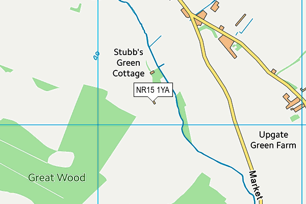 NR15 1YA map - OS VectorMap District (Ordnance Survey)