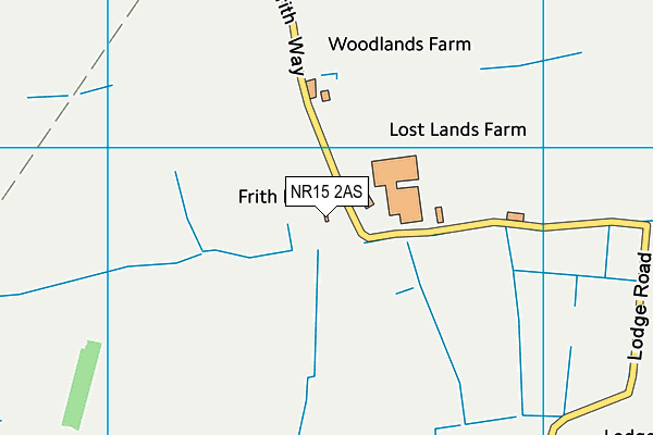 NR15 2AS map - OS VectorMap District (Ordnance Survey) NR15 2AS map - OS VectorMap District (Ordnance Survey)