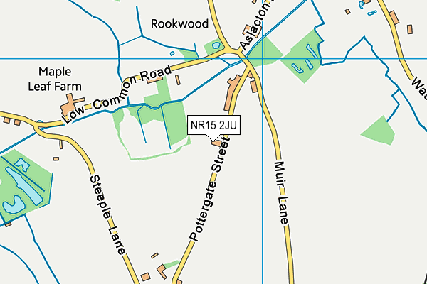 NR15 2JU map - OS VectorMap District (Ordnance Survey)