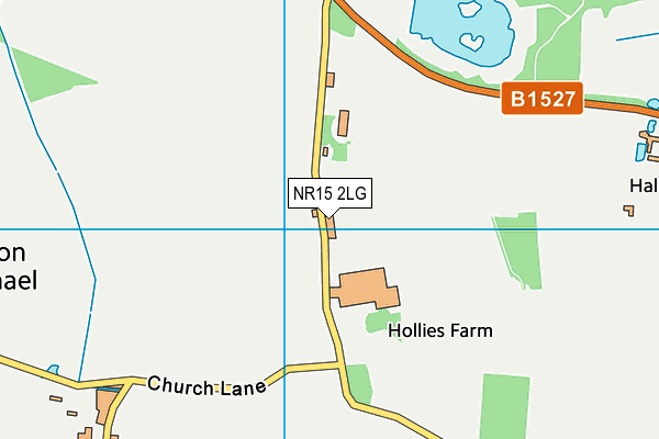 NR15 2LG map - OS VectorMap District (Ordnance Survey) NR15 2LG map - OS VectorMap District (Ordnance Survey)