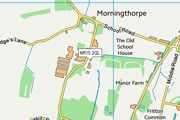 NR15 2QL map - OS VectorMap District (Ordnance Survey) NR15 2QL map - OS VectorMap District (Ordnance Survey)