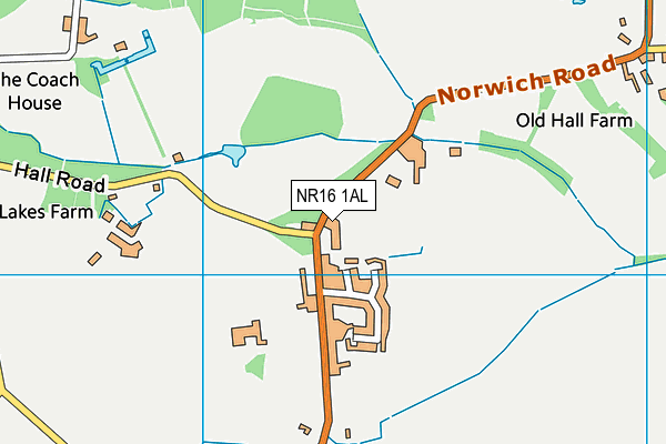 NR16 1AL map - OS VectorMap District (Ordnance Survey) NR16 1AL map - OS VectorMap District (Ordnance Survey)