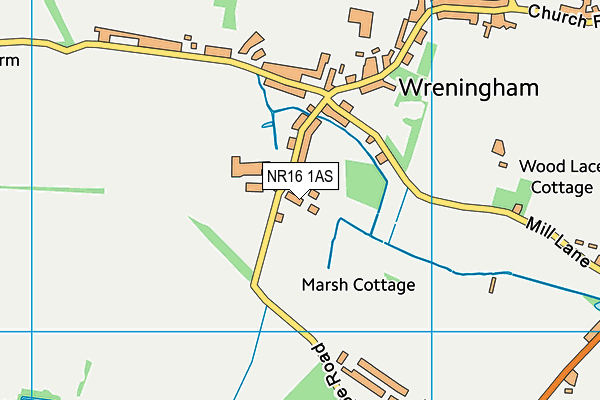 NR16 1AS map - OS VectorMap District (Ordnance Survey) NR16 1AS map - OS VectorMap District (Ordnance Survey)