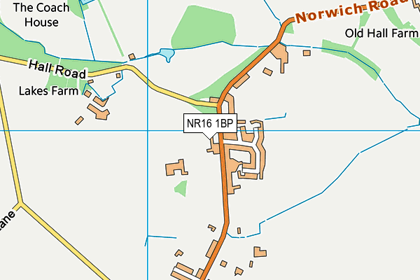 NR16 1BP map - OS VectorMap District (Ordnance Survey) NR16 1BP map - OS VectorMap District (Ordnance Survey)
