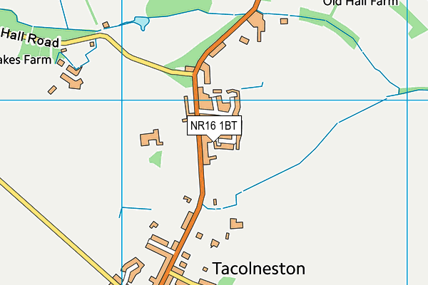 NR16 1BT map - OS VectorMap District (Ordnance Survey) NR16 1BT map - OS VectorMap District (Ordnance Survey)