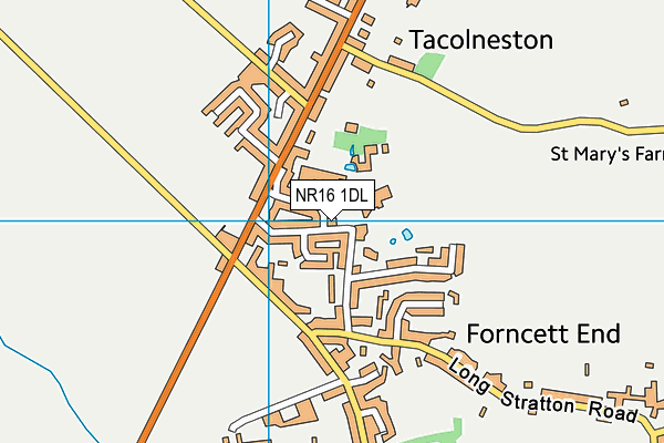 NR16 1DL map - OS VectorMap District (Ordnance Survey) NR16 1DL map - OS VectorMap District (Ordnance Survey)