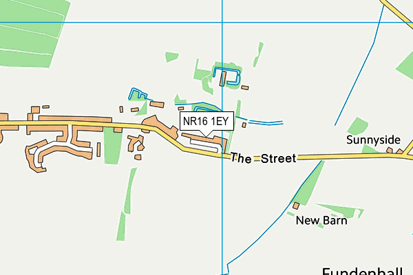 NR16 1EY map - OS VectorMap District (Ordnance Survey) NR16 1EY map - OS VectorMap District (Ordnance Survey)
