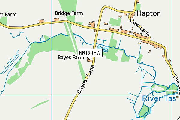 NR16 1HW map - OS VectorMap District (Ordnance Survey) NR16 1HW map - OS VectorMap District (Ordnance Survey)