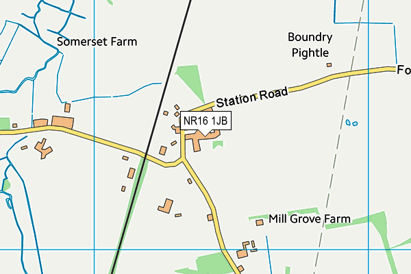 NR16 1JB map - OS VectorMap District (Ordnance Survey) NR16 1JB map - OS VectorMap District (Ordnance Survey)