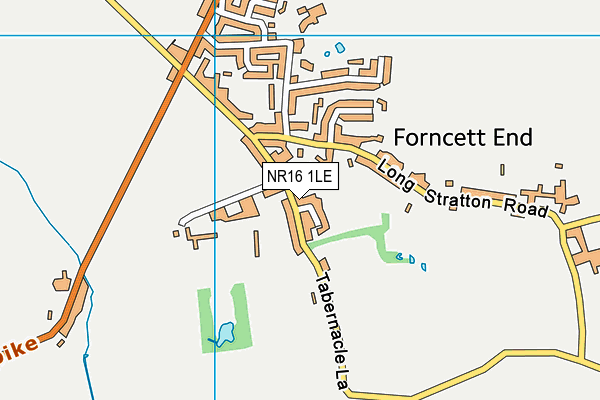 NR16 1LE map - OS VectorMap District (Ordnance Survey) NR16 1LE map - OS VectorMap District (Ordnance Survey)