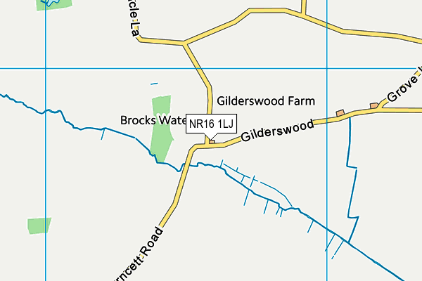 NR16 1LJ map - OS VectorMap District (Ordnance Survey) NR16 1LJ map - OS VectorMap District (Ordnance Survey)