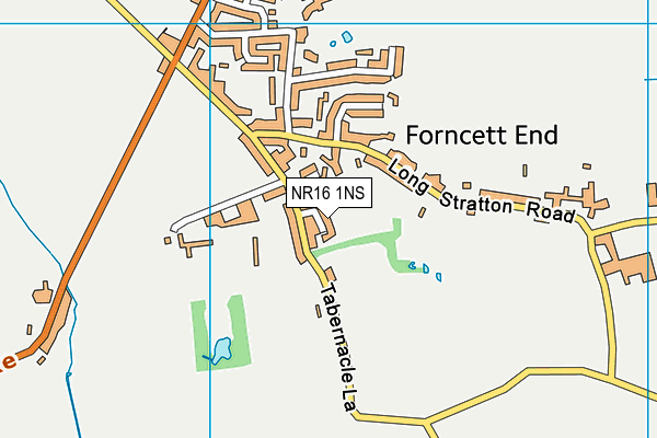 NR16 1NS map - OS VectorMap District (Ordnance Survey) NR16 1NS map - OS VectorMap District (Ordnance Survey)