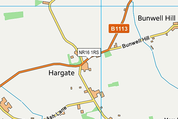 NR16 1RS map - OS VectorMap District (Ordnance Survey) NR16 1RS map - OS VectorMap District (Ordnance Survey)