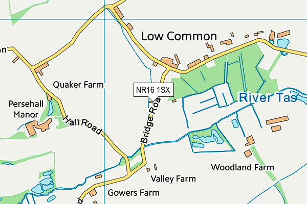 NR16 1SX map - OS VectorMap District (Ordnance Survey)