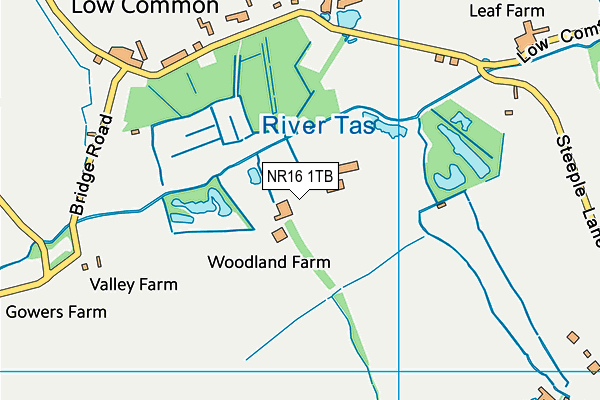 NR16 1TB map - OS VectorMap District (Ordnance Survey)