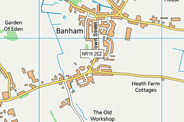NR16 2EZ map - OS VectorMap District (Ordnance Survey)