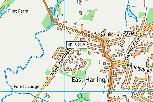 NR16 2LW map - OS VectorMap District (Ordnance Survey)