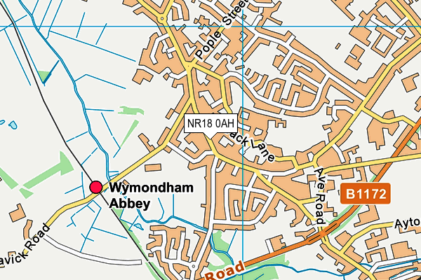 NR18 0AH map - OS VectorMap District (Ordnance Survey)