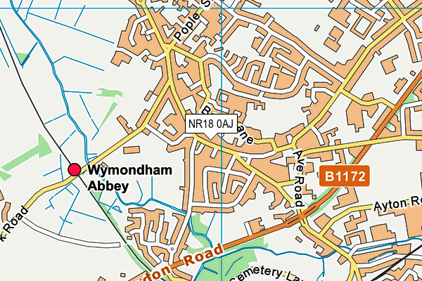 NR18 0AJ map - OS VectorMap District (Ordnance Survey)