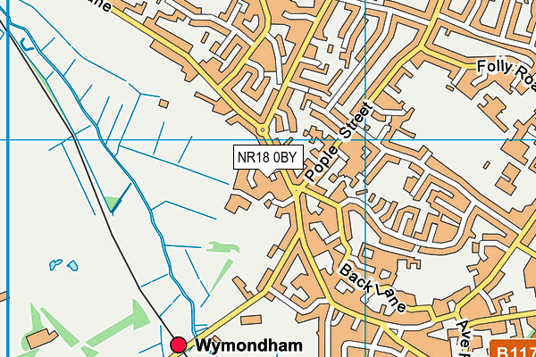 NR18 0BY map - OS VectorMap District (Ordnance Survey) NR18 0BY map - OS VectorMap District (Ordnance Survey)