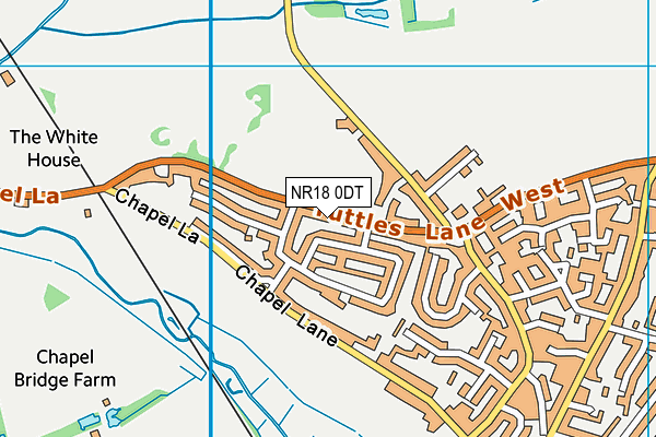 NR18 0DT map - OS VectorMap District (Ordnance Survey) NR18 0DT map - OS VectorMap District (Ordnance Survey)