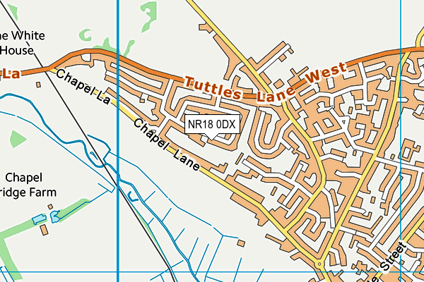 NR18 0DX map - OS VectorMap District (Ordnance Survey) NR18 0DX map - OS VectorMap District (Ordnance Survey)
