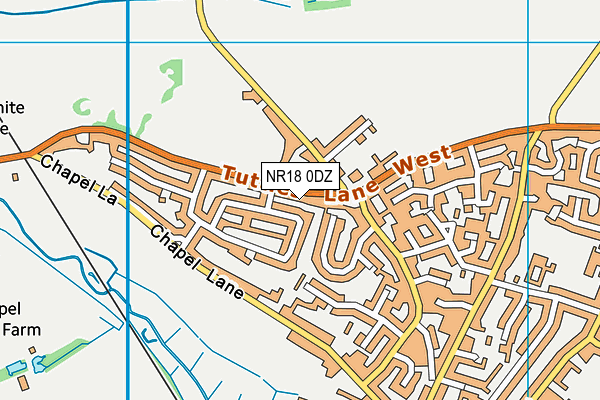 NR18 0DZ map - OS VectorMap District (Ordnance Survey) NR18 0DZ map - OS VectorMap District (Ordnance Survey)