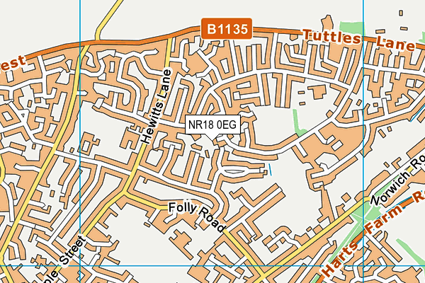 NR18 0EG map - OS VectorMap District (Ordnance Survey) NR18 0EG map - OS VectorMap District (Ordnance Survey)