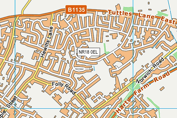 NR18 0EL map - OS VectorMap District (Ordnance Survey) NR18 0EL map - OS VectorMap District (Ordnance Survey)