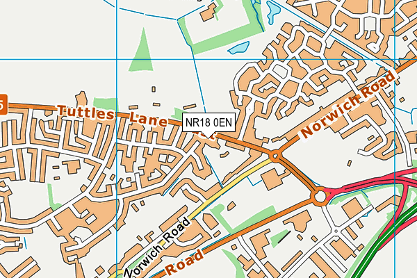 NR18 0EN map - OS VectorMap District (Ordnance Survey) NR18 0EN map - OS VectorMap District (Ordnance Survey)