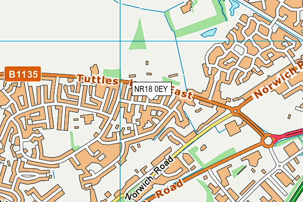 NR18 0EY map - OS VectorMap District (Ordnance Survey) NR18 0EY map - OS VectorMap District (Ordnance Survey)