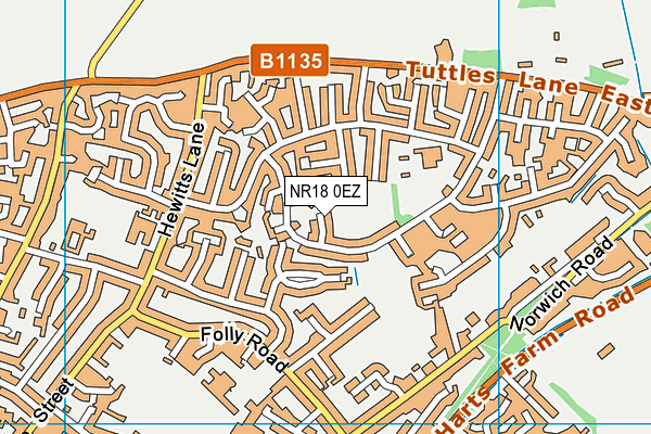NR18 0EZ map - OS VectorMap District (Ordnance Survey) NR18 0EZ map - OS VectorMap District (Ordnance Survey)