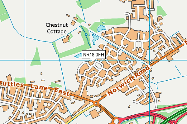 NR18 0FH map - OS VectorMap District (Ordnance Survey) NR18 0FH map - OS VectorMap District (Ordnance Survey)