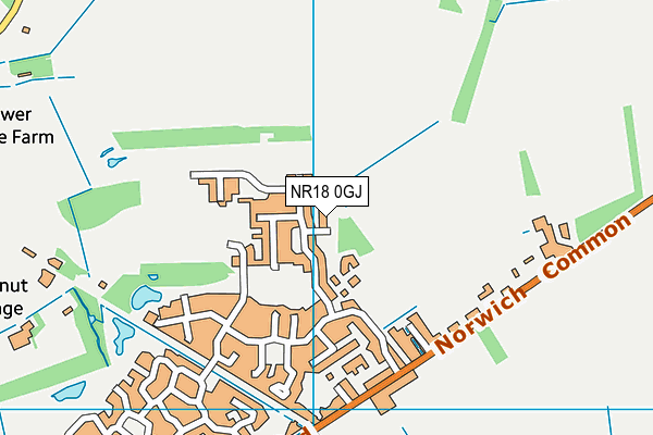 NR18 0GJ map - OS VectorMap District (Ordnance Survey) NR18 0GJ map - OS VectorMap District (Ordnance Survey)