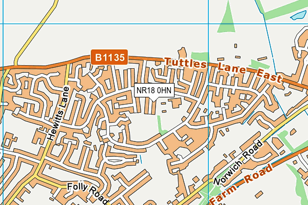 NR18 0HN map - OS VectorMap District (Ordnance Survey) NR18 0HN map - OS VectorMap District (Ordnance Survey)