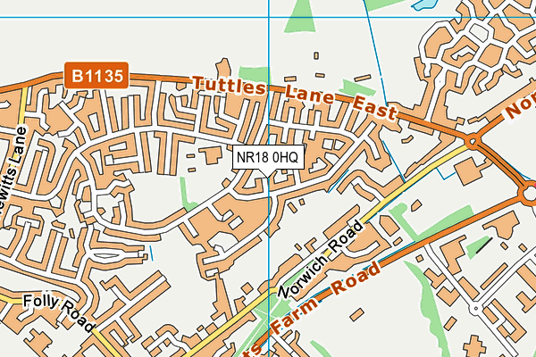 NR18 0HQ map - OS VectorMap District (Ordnance Survey) NR18 0HQ map - OS VectorMap District (Ordnance Survey)
