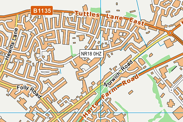 NR18 0HZ map - OS VectorMap District (Ordnance Survey) NR18 0HZ map - OS VectorMap District (Ordnance Survey)