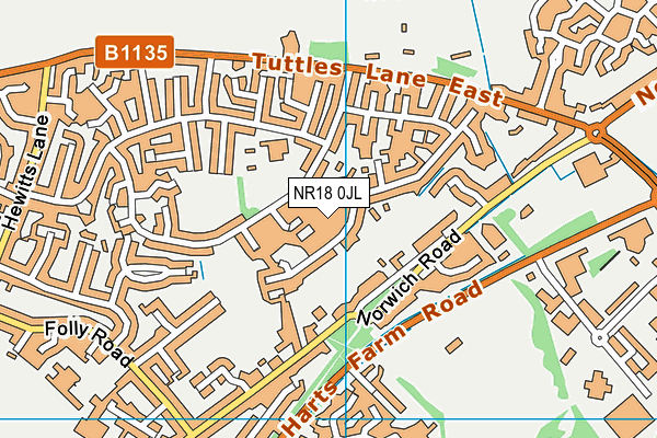 NR18 0JL map - OS VectorMap District (Ordnance Survey) NR18 0JL map - OS VectorMap District (Ordnance Survey)