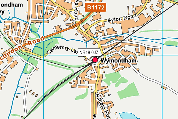 NR18 0JZ map - OS VectorMap District (Ordnance Survey) NR18 0JZ map - OS VectorMap District (Ordnance Survey)