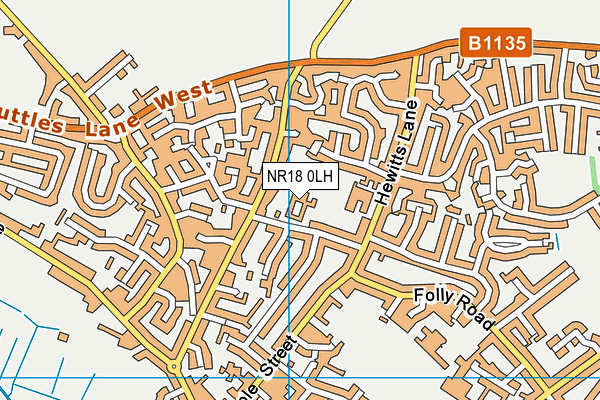 NR18 0LH map - OS VectorMap District (Ordnance Survey) NR18 0LH map - OS VectorMap District (Ordnance Survey)