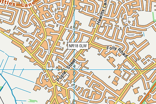 NR18 0LW map - OS VectorMap District (Ordnance Survey) NR18 0LW map - OS VectorMap District (Ordnance Survey)