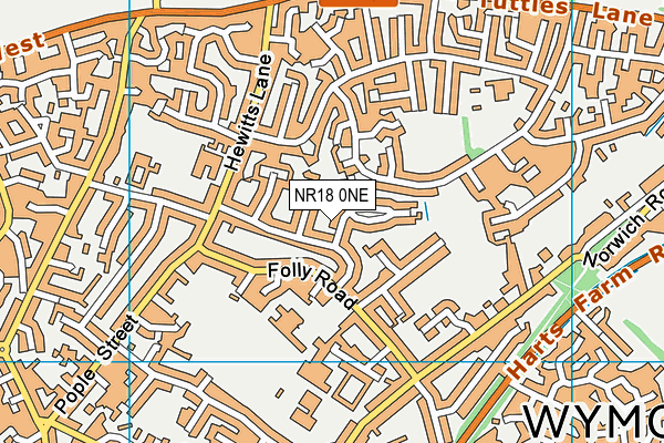 NR18 0NE map - OS VectorMap District (Ordnance Survey) NR18 0NE map - OS VectorMap District (Ordnance Survey)